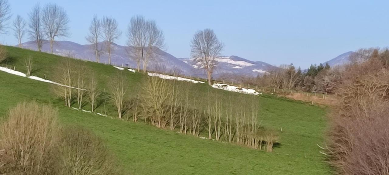 Domaine Le Lanis Chambre d'hôtes avec piscine et spa Saint-Girons  Exterior foto
