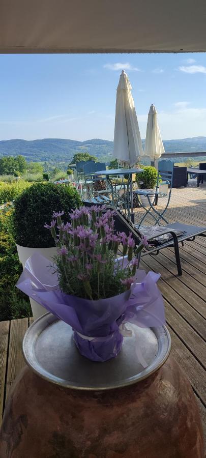 Domaine Le Lanis Chambre d'hôtes avec piscine et spa Saint-Girons  Exterior foto